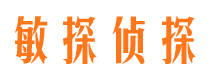 师宗市调查公司